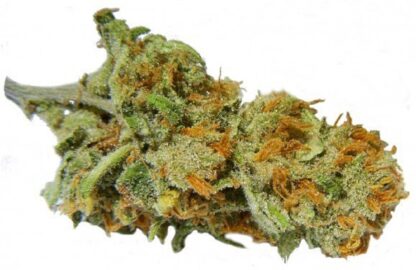 Fake Skun Lemon Haze 1g