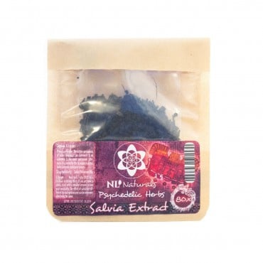 Szałwia / Salvia 80x 1gram